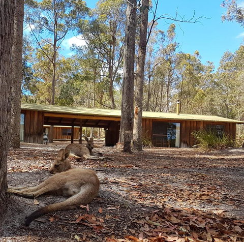 Woodbine Park Eco Cabins - Accommodation Yamba 2