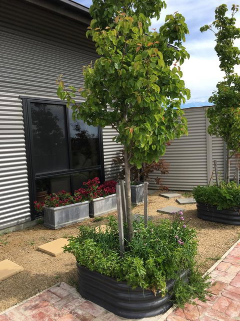 Woolamai Dreaming - Accommodation Yamba 2