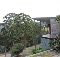 Woollybutt - Accommodation Yamba