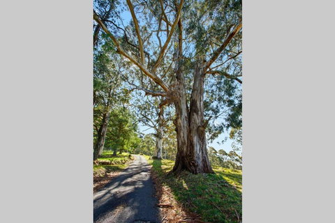 WOOLWAY - Accommodation Yamba 1