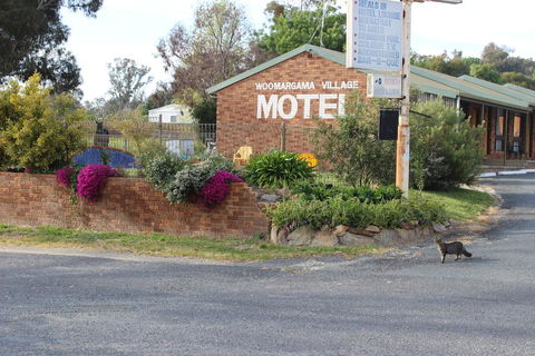 Woomargama Motel - Accommodation Yamba 3