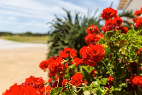 Wytonia Beachfront Accommodation - Accommodation Yamba 3