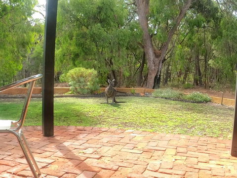 Yallingup Pet Friendly Bush Retreat - Accommodation Yamba 3
