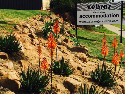 Zebras Guest House Geraldton - Accommodation Yamba 2