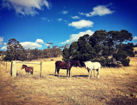 Architecturally Designed Rural Retreat - Accommodation Yamba 4