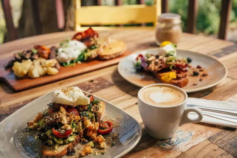 Architecturally Designed Nature Lovers Delight - Accommodation Yamba 4