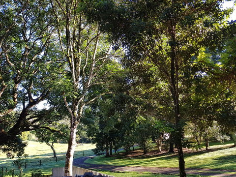 Bee-Haven Cottage - Accommodation Yamba 7