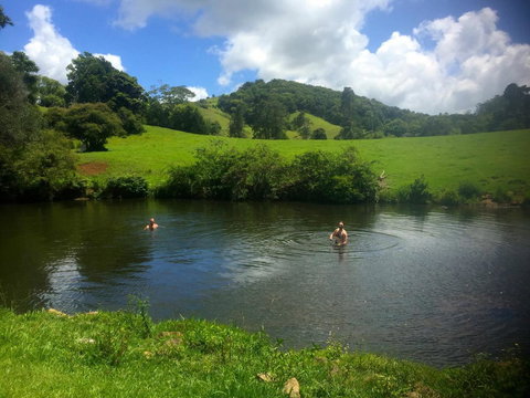 Maleny Springs Farm - Accommodation Yamba 34