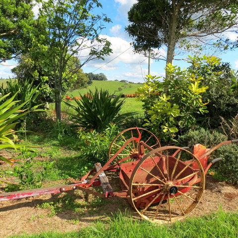 Maleny Springs Farm - Accommodation Yamba 37