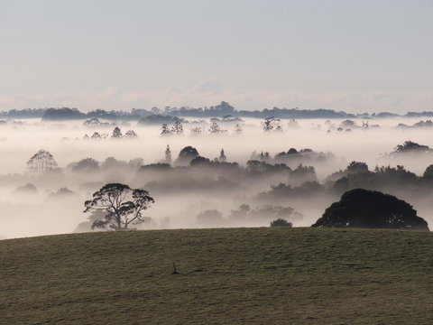 Maleny Springs Farm - Accommodation Yamba 22