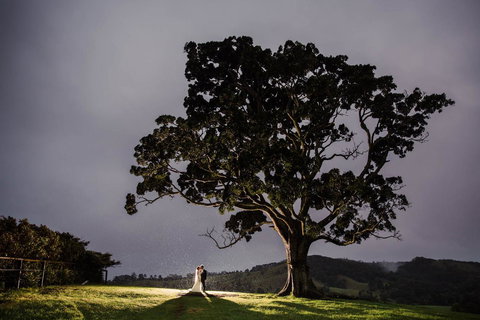 Maleny Springs Farm - Accommodation Yamba 16