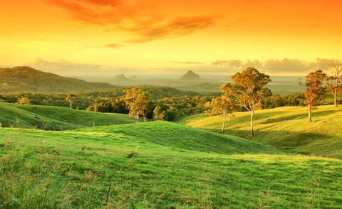 Maleny Springs Farm - Accommodation Yamba 20