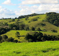 Maleny Springs Farm - Accommodation Yamba