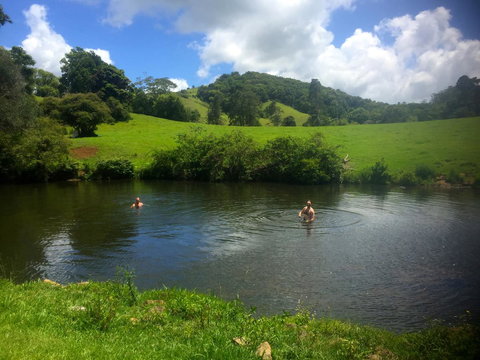 Maleny Springs Farm - Accommodation Yamba 28