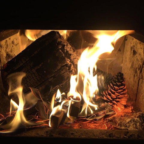 Maleny Springs Farm - Accommodation Yamba 13