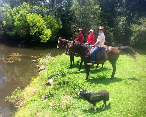 Maleny Springs Farm - Accommodation Yamba 33
