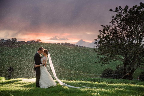 Maleny Springs Farm - Accommodation Yamba 11