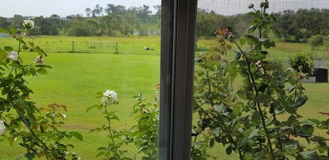 Hay Point Country BnB - Accommodation Yamba 6