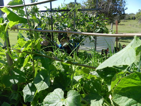 Hay Point Country BnB - Accommodation Yamba 17