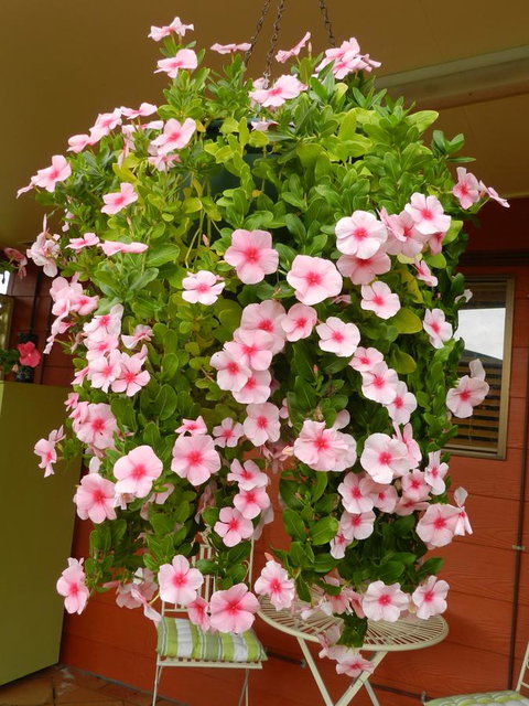 Hay Point Country BnB - Accommodation Yamba 19