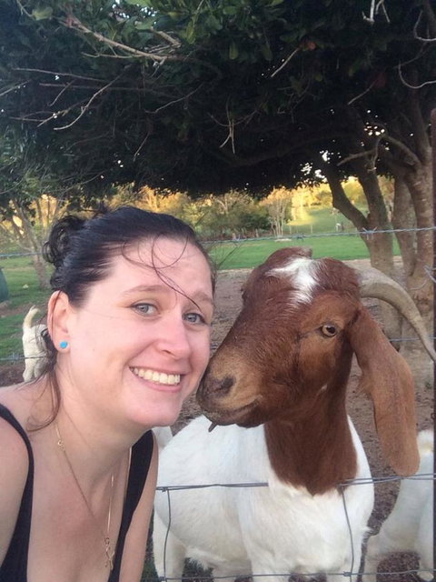 Hay Point Country BnB - Accommodation Yamba 13