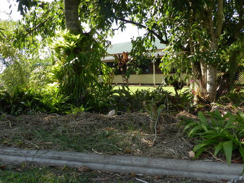 Hay Point Country BnB - Accommodation Yamba 23