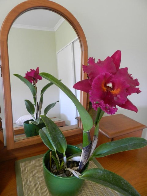 Hay Point Country BnB - Accommodation Yamba 10