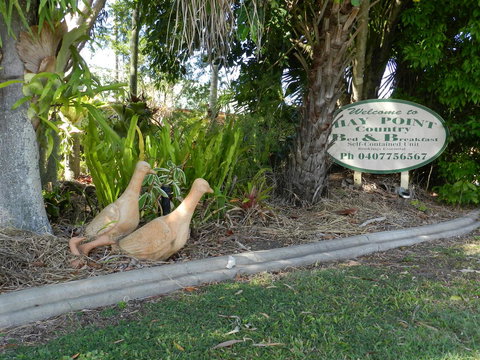 Hay Point Country BnB - Accommodation Yamba 21