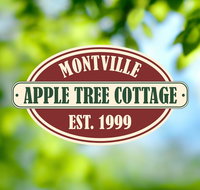 Apple Tree Cottage and Studio - Accommodation Yamba