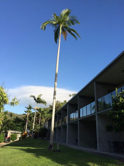 Arcadia Village Motel - Accommodation Yamba 36