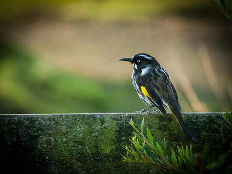 Parnella Adventure Bay, Bruny Island - Accommodation Yamba 21