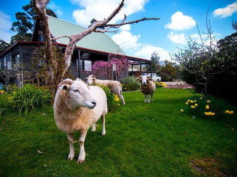 Parnella Adventure Bay, Bruny Island - Accommodation Yamba 19