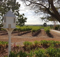 'In The Vines' Guest Cottage Barossa Valley - Accommodation Yamba