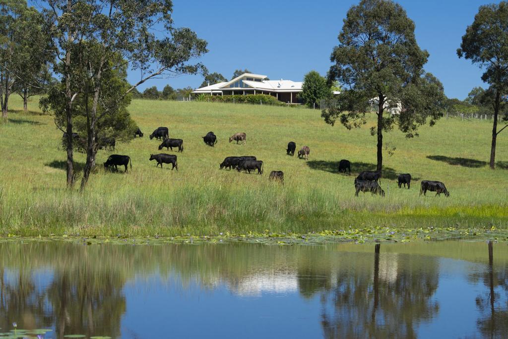 Wang Wauk NSW Accommodation Yamba