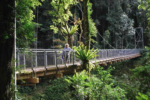 BIG4 Tasman Holiday Parks - Nambucca Heads - Accommodation Yamba 2