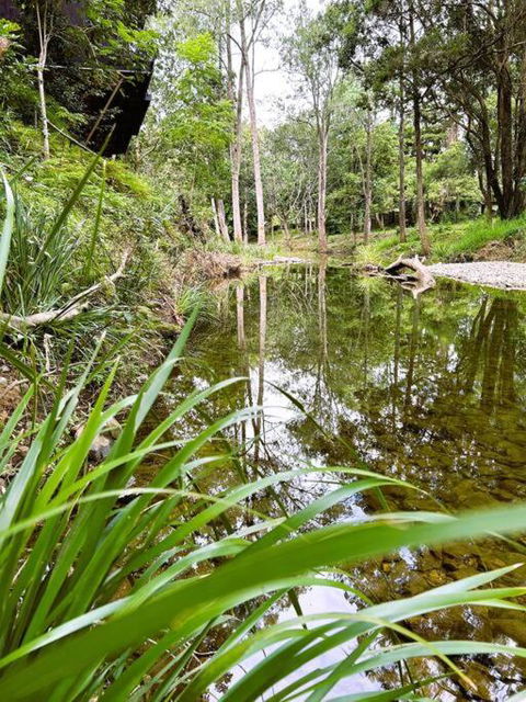 Creek House - Accommodation Yamba 3