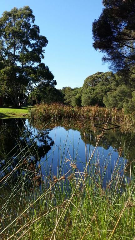 Crystal Springs Holiday Accommodation - Accommodation Yamba 0