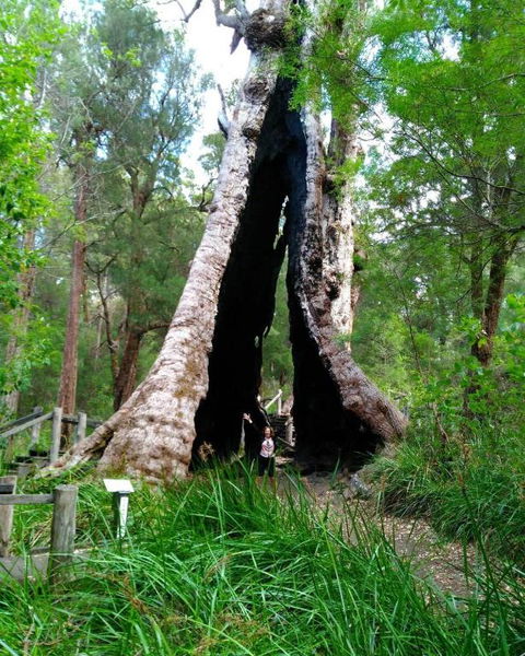 Crystal Springs Holiday Accommodation - Accommodation Yamba 3