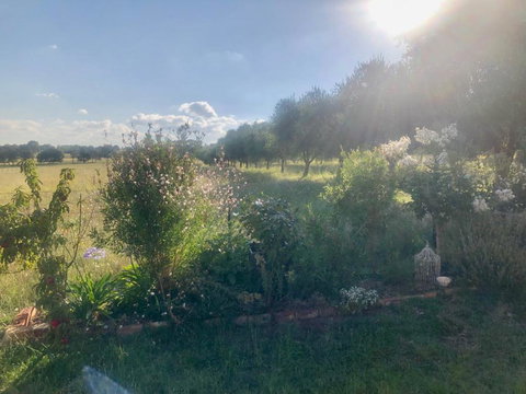 Danara Cottage - Accommodation Yamba 1