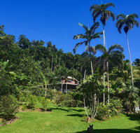 A Daintree Garden - Accommodation Yamba