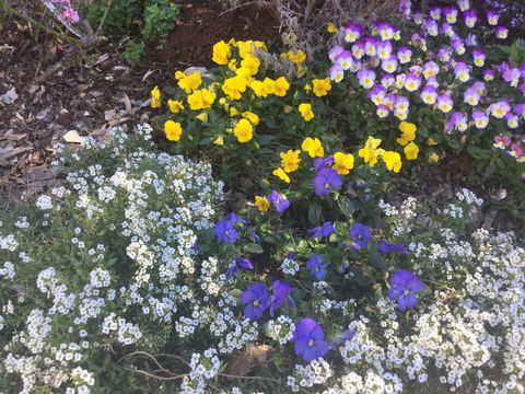 A Very French House - Accommodation Yamba 2