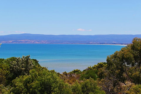 Acacia Cottage - Accommodation Yamba 1