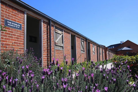 Dusty Hill Vineyard - Moffatdale - Accommodation Yamba 0