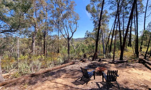 Echidna Ridge By Tiny Away - Accommodation Yamba 1