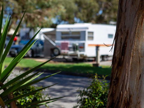 Echo Holiday Parks - Windsor Gardens - Accommodation Yamba 4