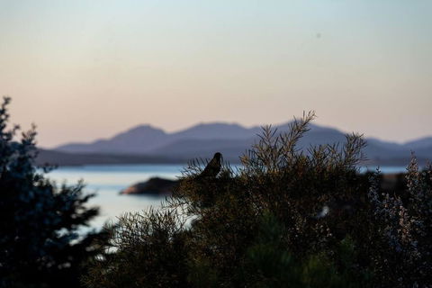 Faraway On Flinders Island - Accommodation Yamba 4