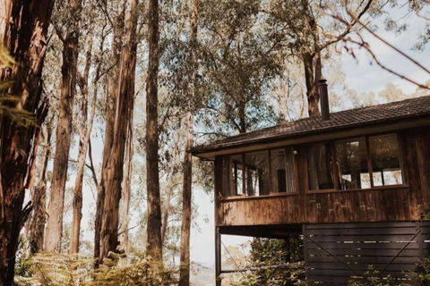 Forest Retreat - Accommodation Yamba 0
