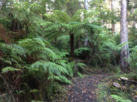 Forrest River Valley - Accommodation Yamba 4