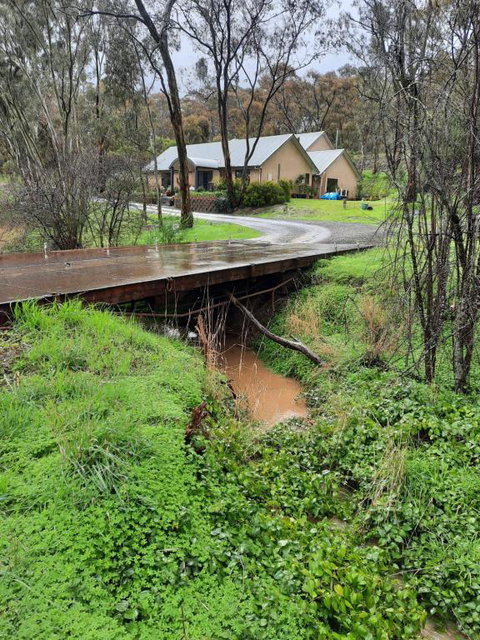 Frogmouth Hollow - Accommodation Yamba 4