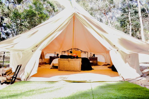 Golden Point Glamping - Accommodation Yamba 0